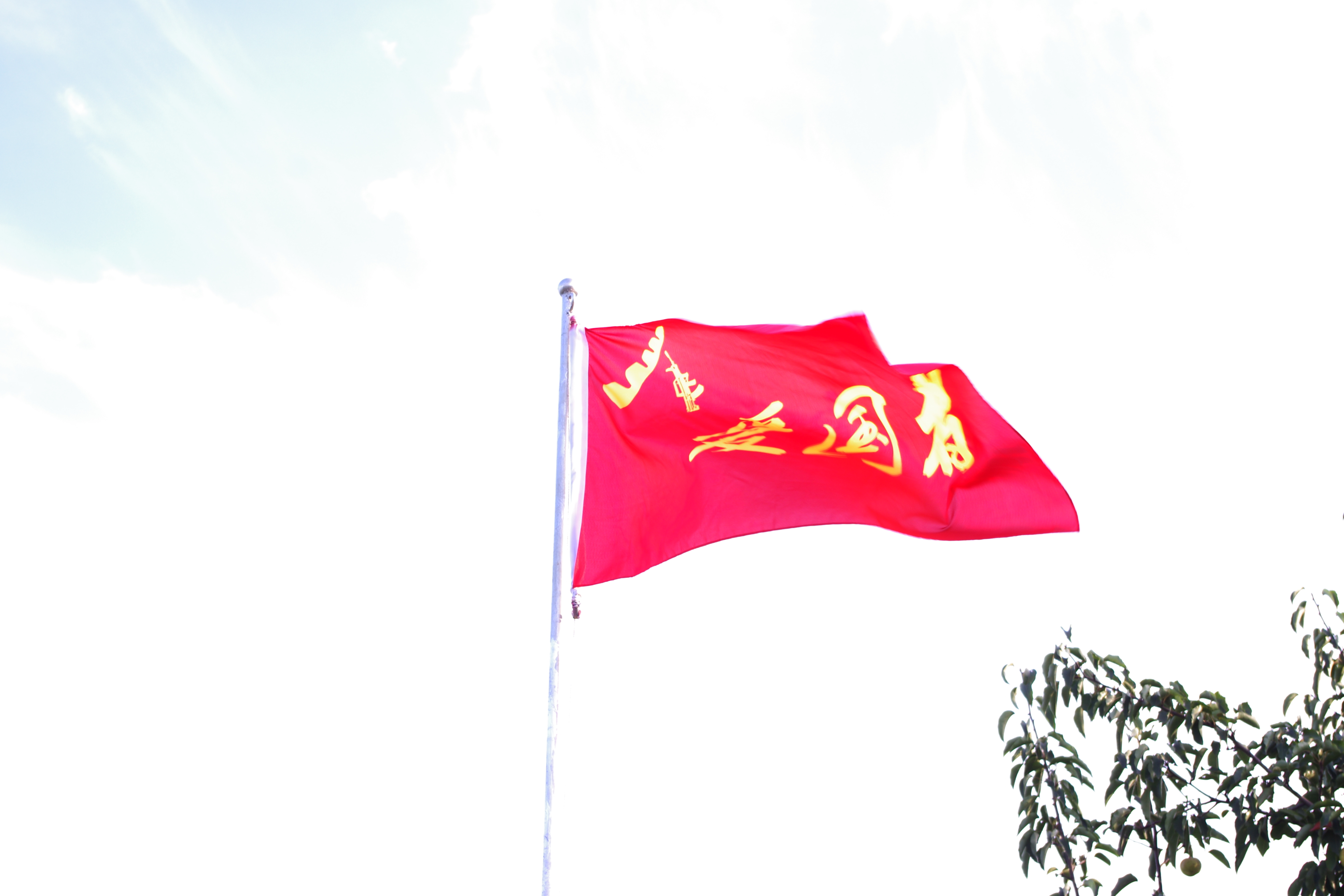 真人cs俱乐部注册流程,真游戏假游戏的案例