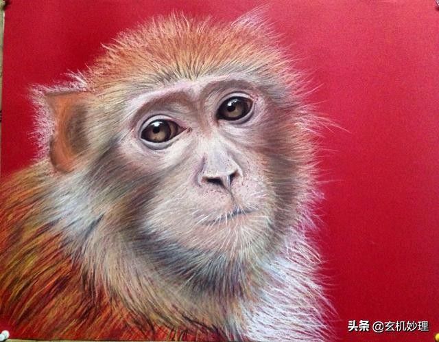 1963年2月12日出生属兔2022年运势,明日生肖兔财运方位