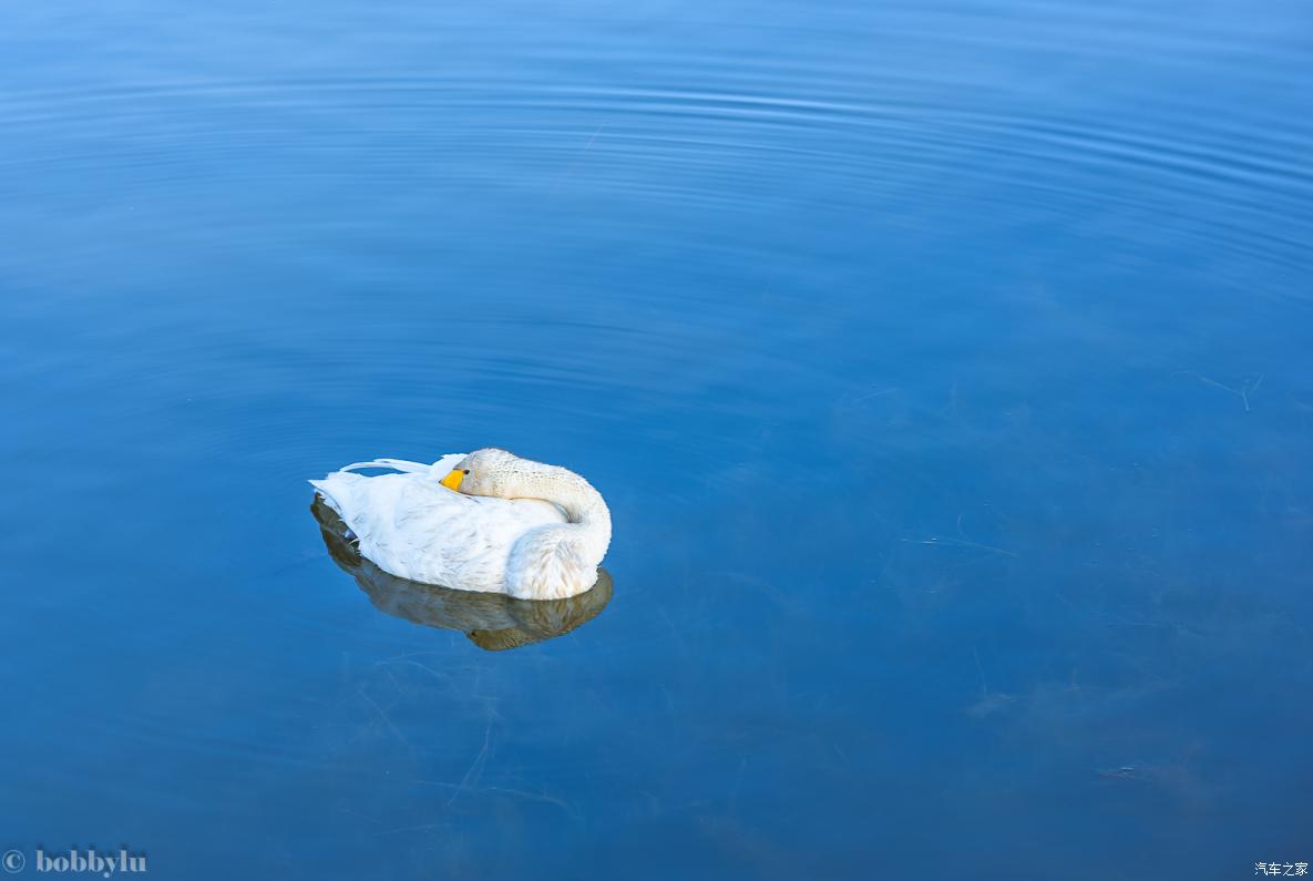 为美食而旅行,为美食美景而来