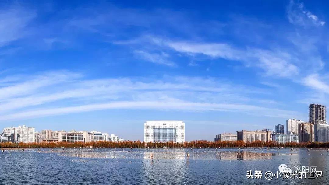 河南洛阳发布最新通知,洛阳牡丹花会向全世界发出邀请