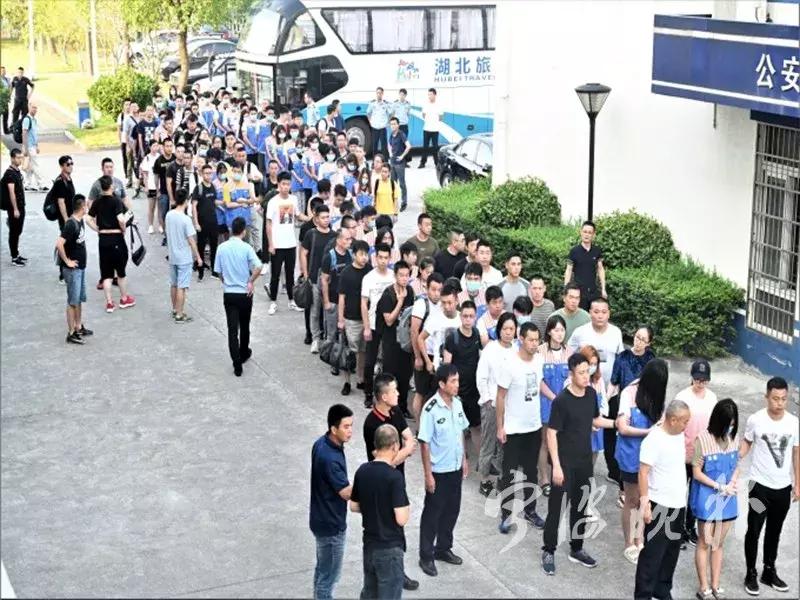 最近打掉的套路贷团伙,特大套路涉贷团伙被抓