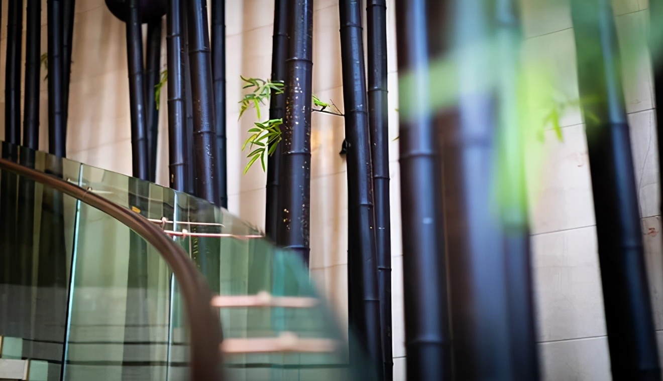 安吉君澜度假酒店周围有什么景点,安吉君澜度假酒店团购