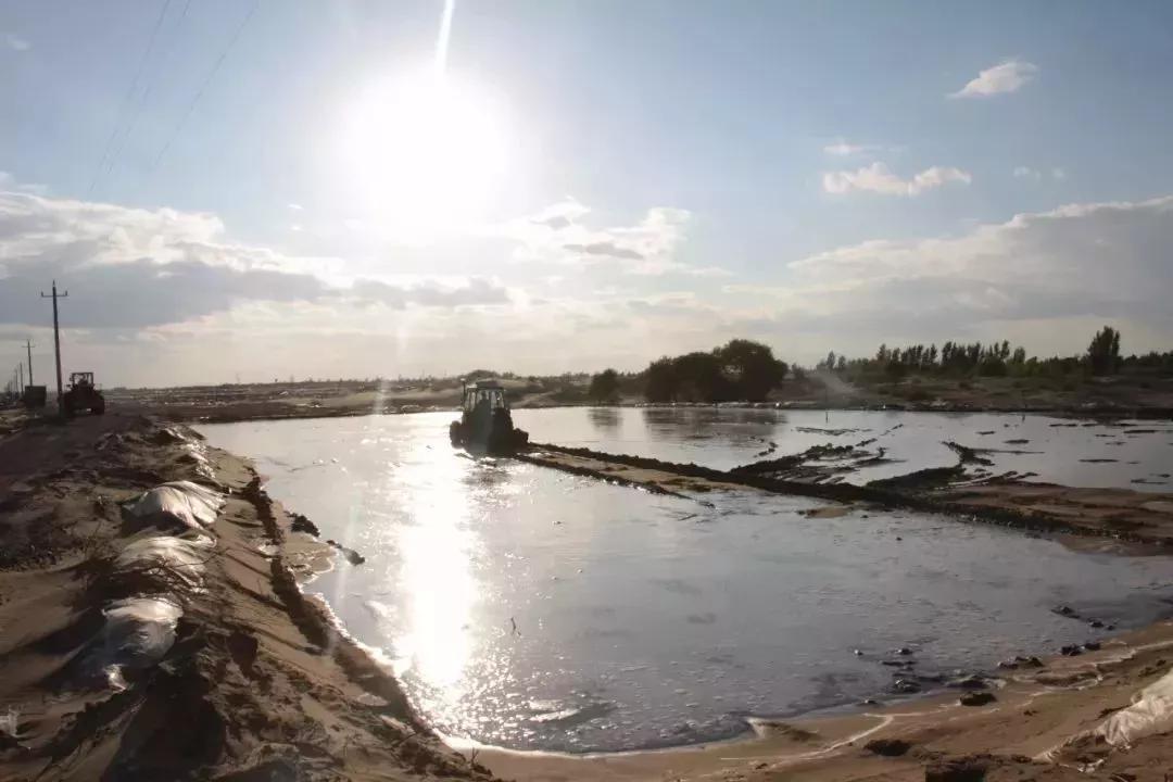 镉大米为何连年屡禁不止,镉大米会二次污染吗