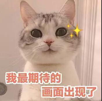 护肤品牌死对头,护肤品的十大误区