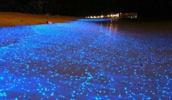 马来西亚的海,马来西亚的最美海是什么样的