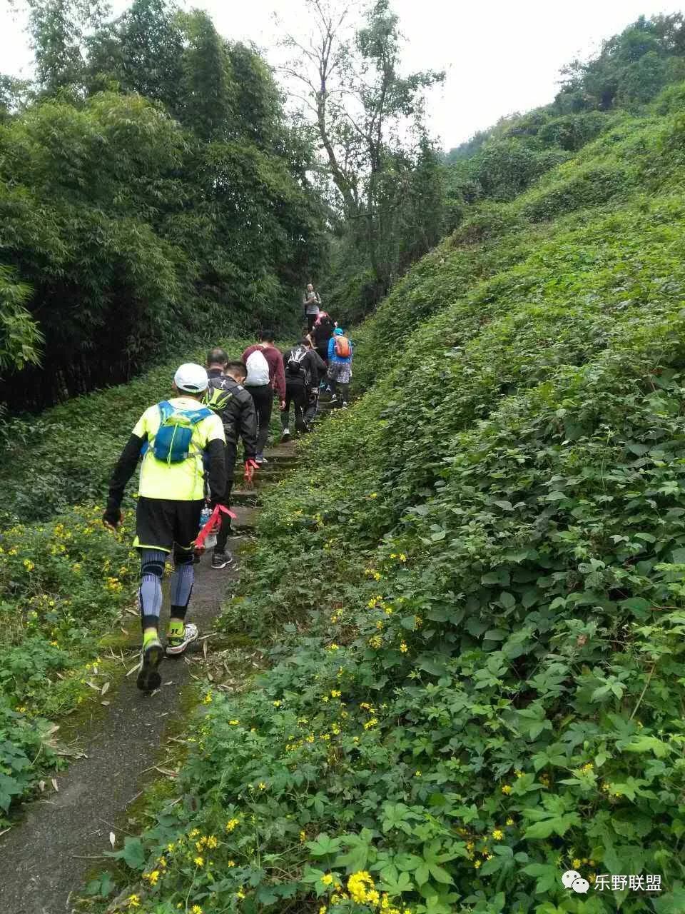 「乐野求生课」6月22重庆游龙山徒步越野报名