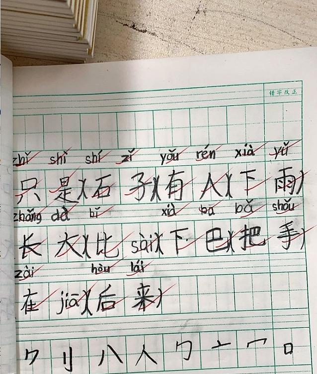 用上万块报拼音班写字班，要不花10分钟进来看看语言学者怎么说？