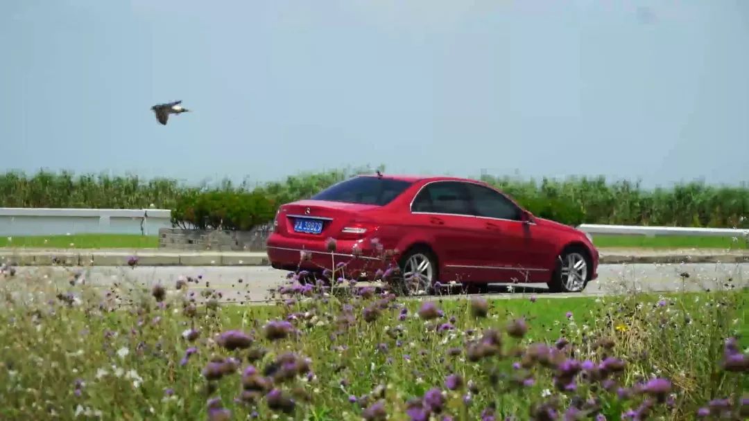 评两代奔驰C级：颜值就是战斗力