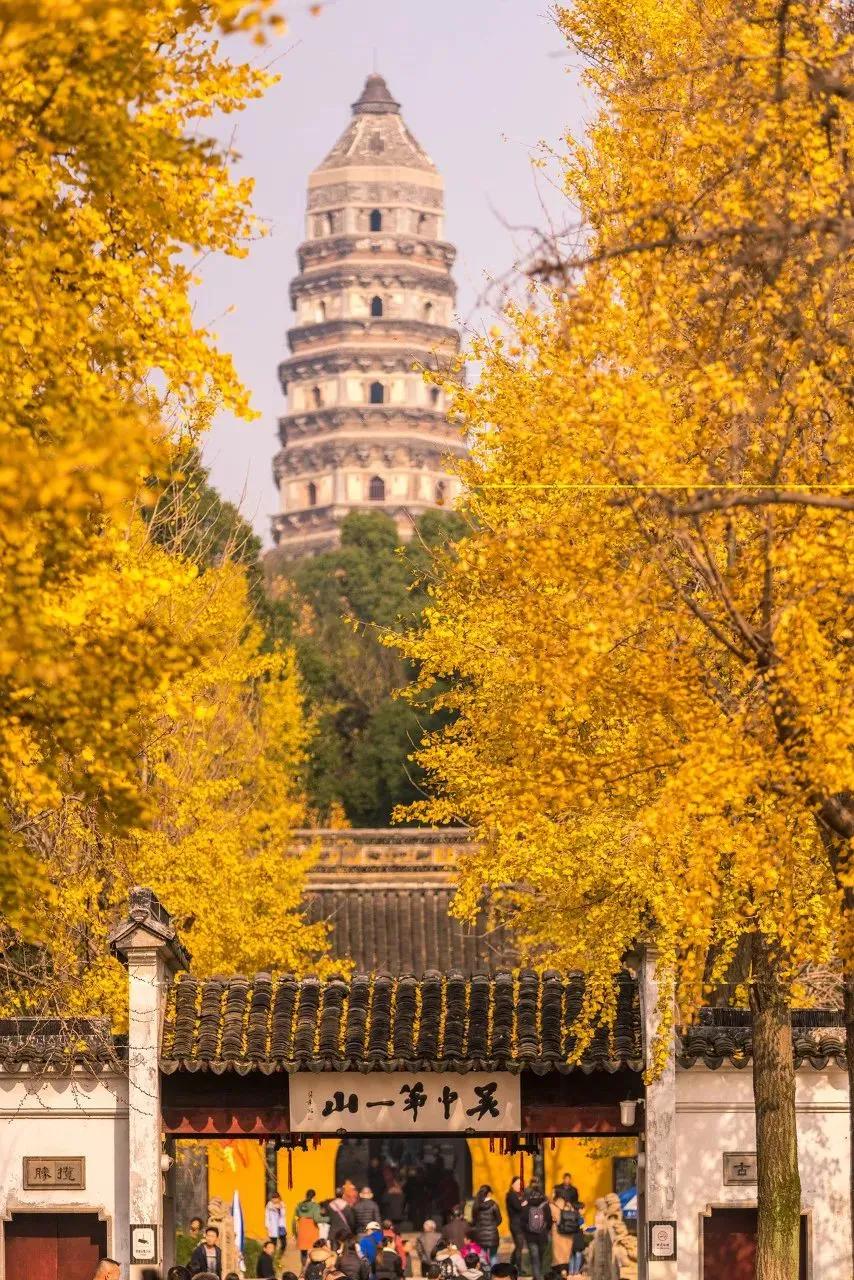 枫叶租车扬州东站店,枫叶租车苏州站店