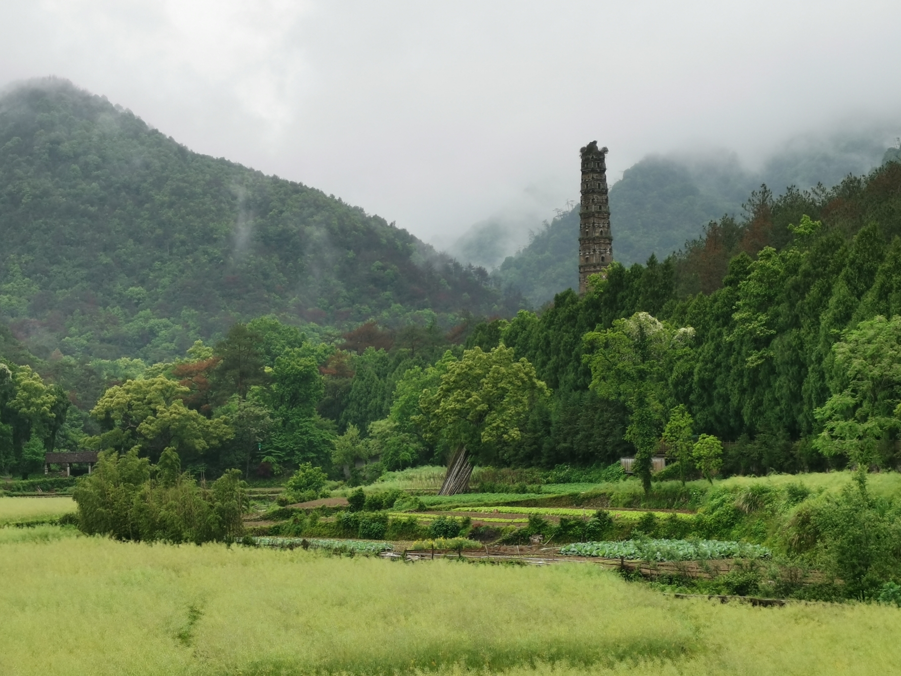 自驾上海去天台山最佳方案,上海到天台山