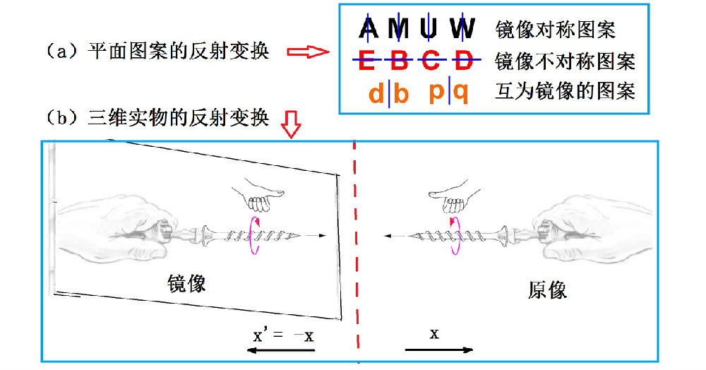 宇称不守恒粒子,宇称不守恒存在于宏观世界吗