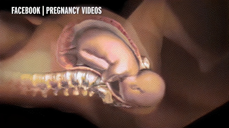 女人阴道松弛是什么原因？