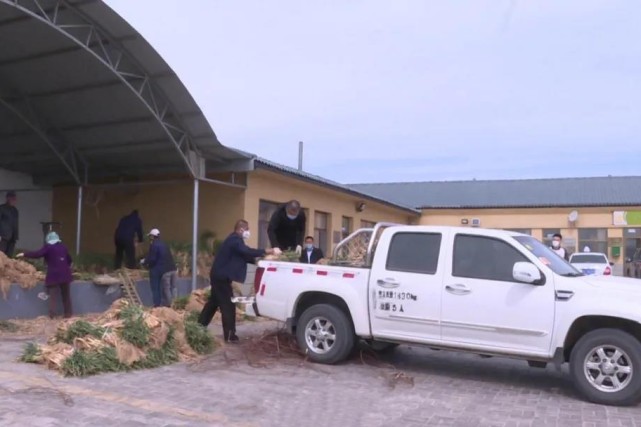 葱农年前囤的葱快烂了，如何是好？