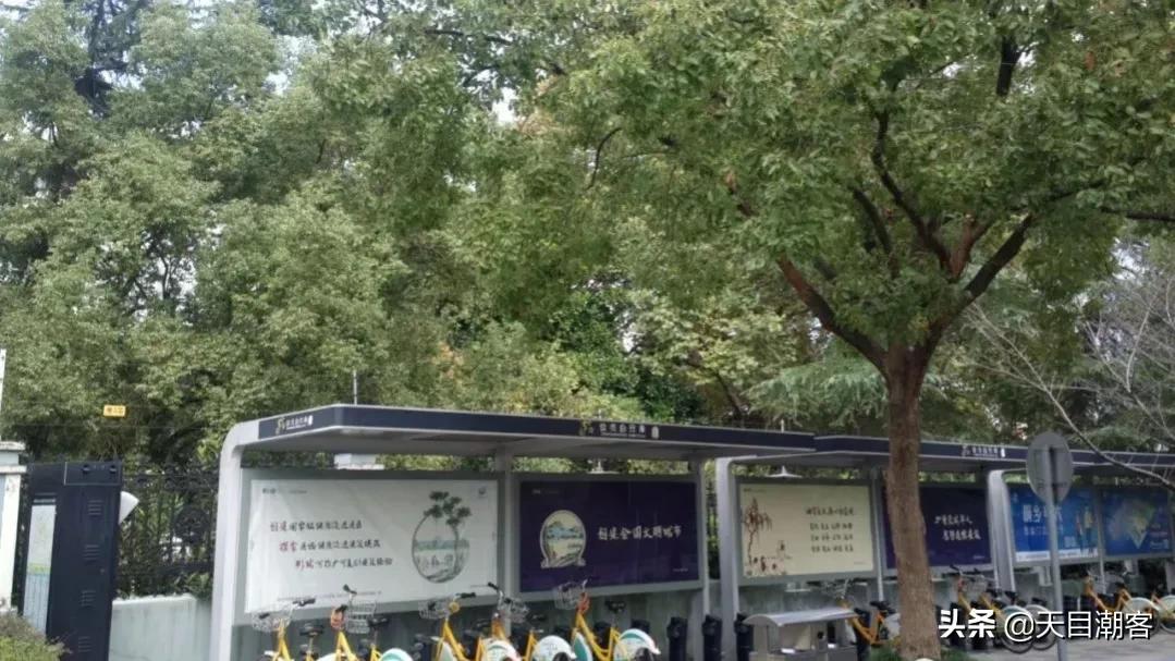 浙江孔庙调查|茅盾故里钩沉:桐乡拆儒宫取良材换钢材造大会堂