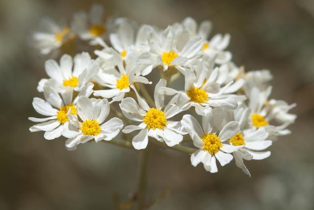 庐山西海阳光照耀29号度假村,庐山西海29度景区