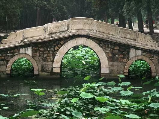 郑州的世界之最,郑州有哪些能长见识地方