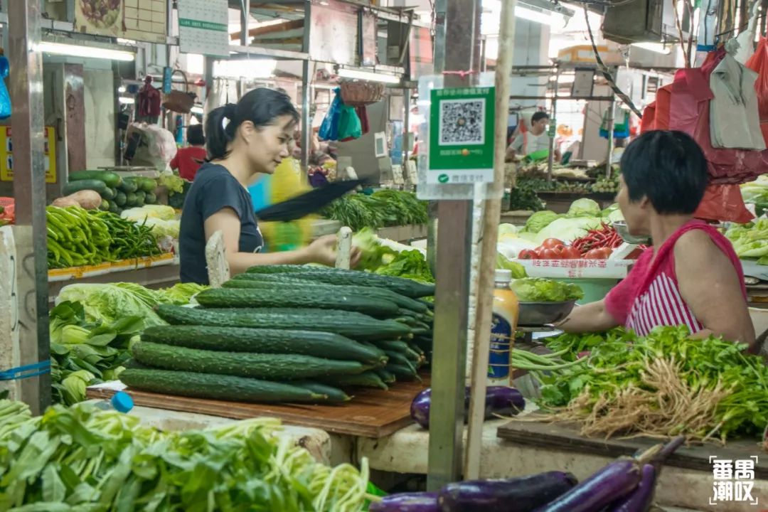 在番禺住哪里比较好,在番禺居住怎么样