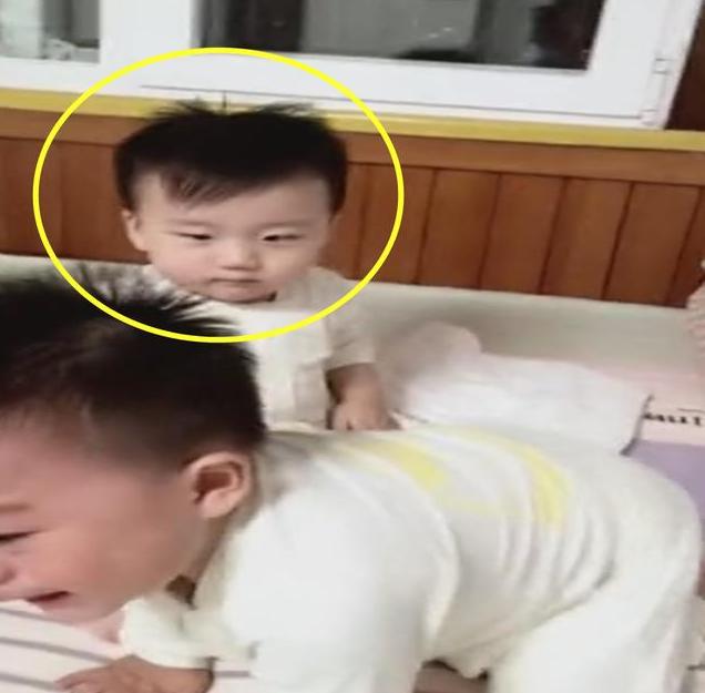 一对双胞胎，竟有两个父亲，亲子鉴定师：这种概率比中彩票都低