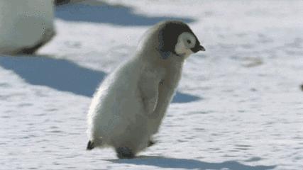 济南将迎大幅降温预警,寒潮天气济南发布紧急通知