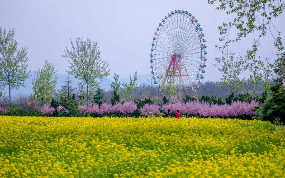 济南市a级景区一览表,山东济南5a景区
