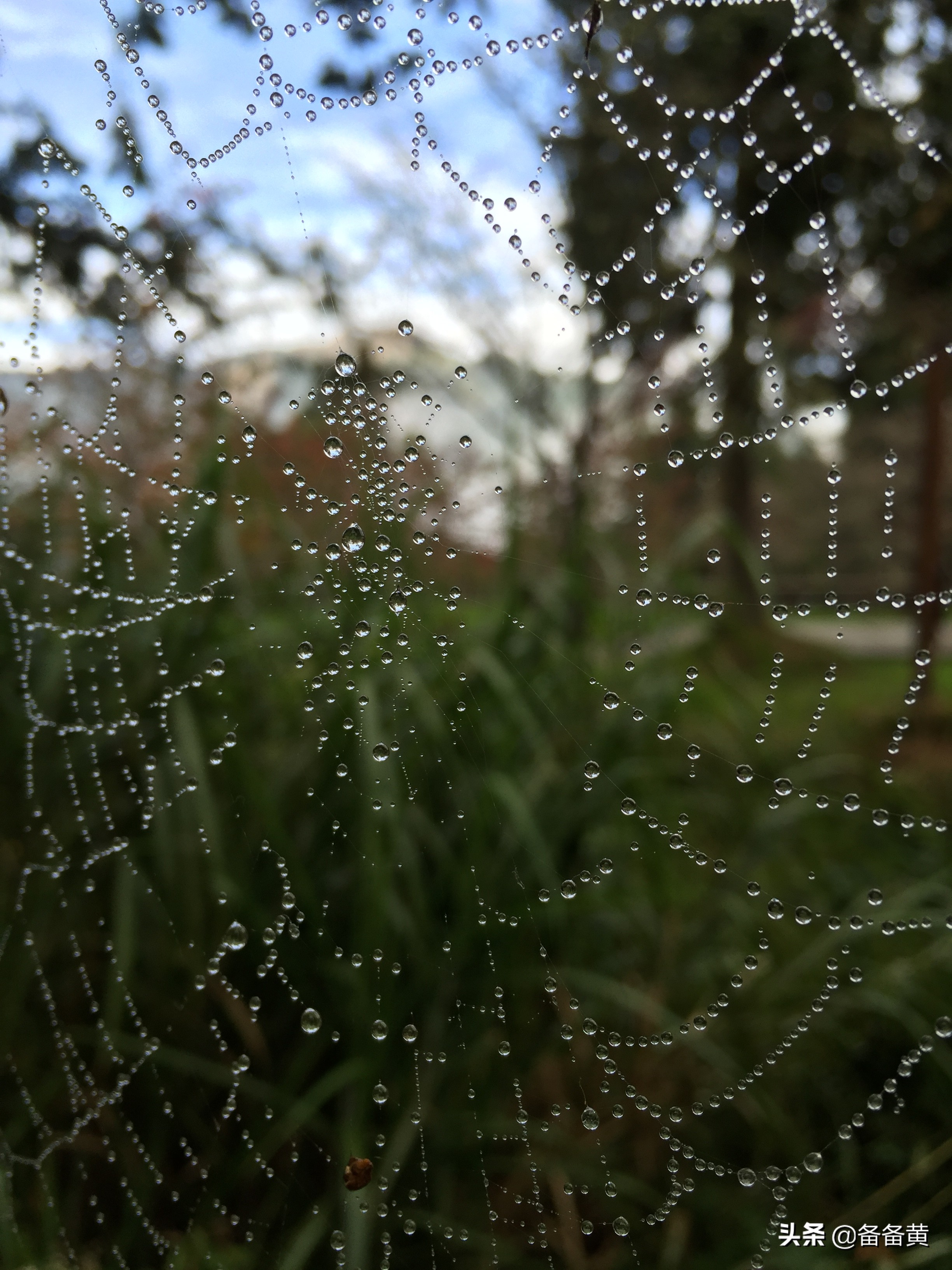 不讲理的婆婆该怎么办,不招婆婆待见怎么办