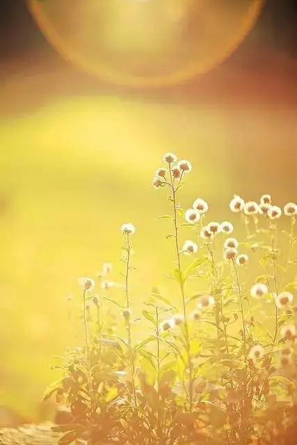 减肥怎么喝水提高新陈代谢,泡脚能促进新陈代谢减肥吗