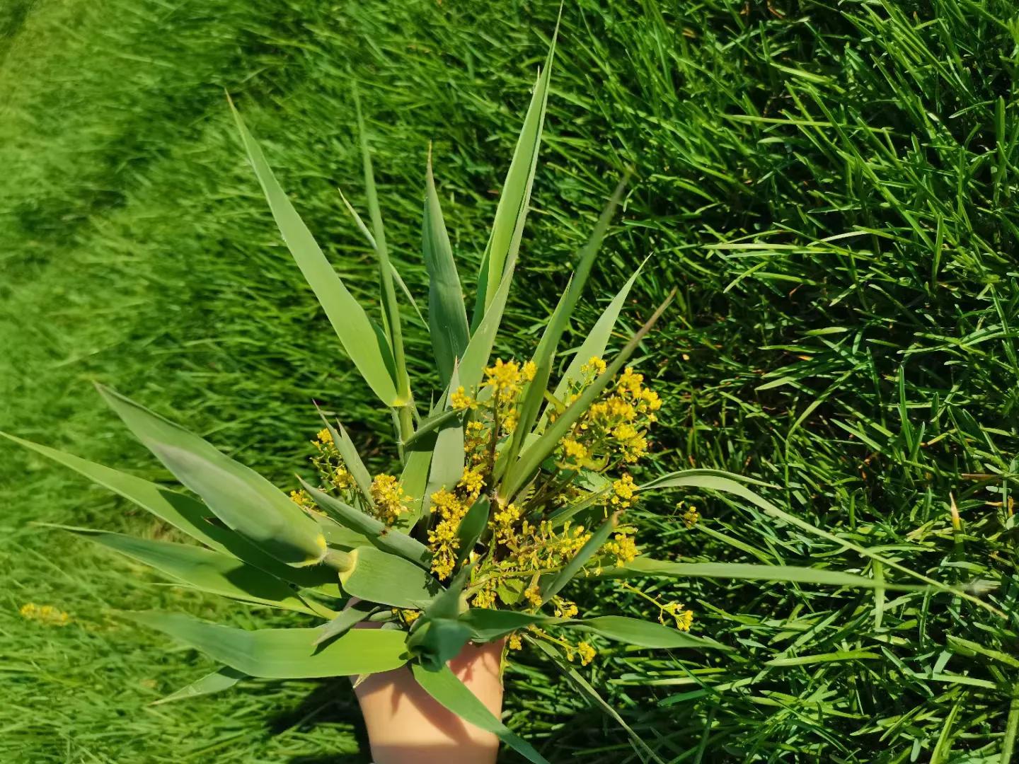 念初时光农场位置,念初时光农场有铁锅吗