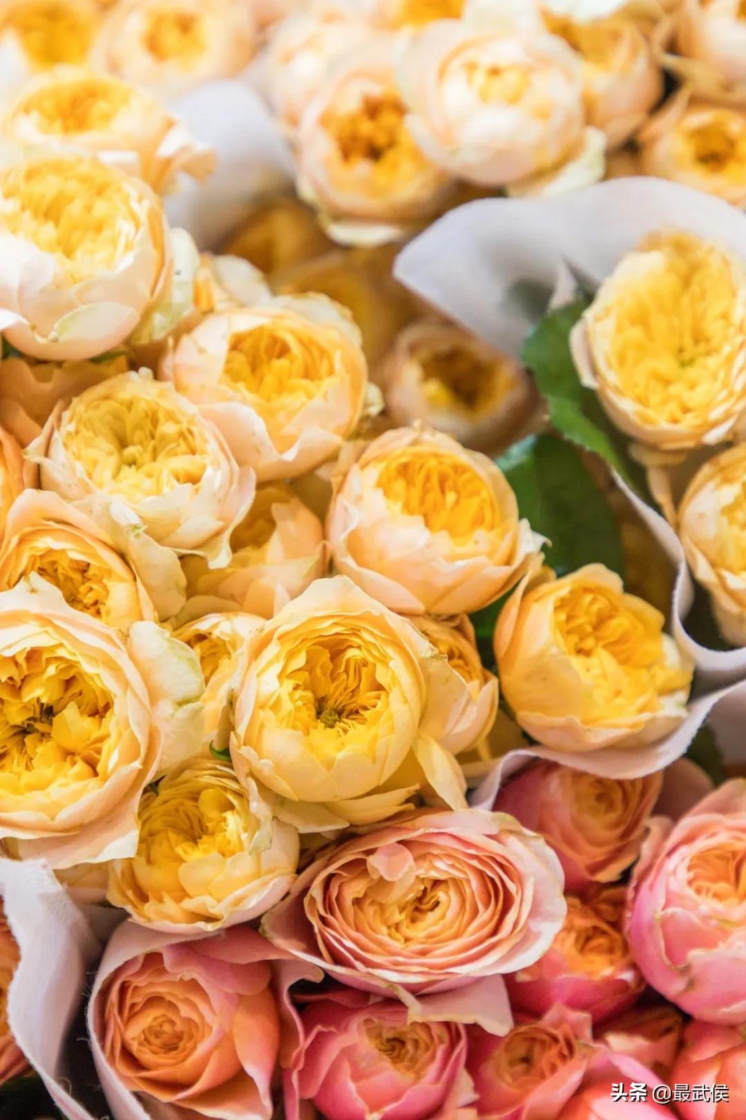 成都便宜的大花市,成都街边卖花一元一束