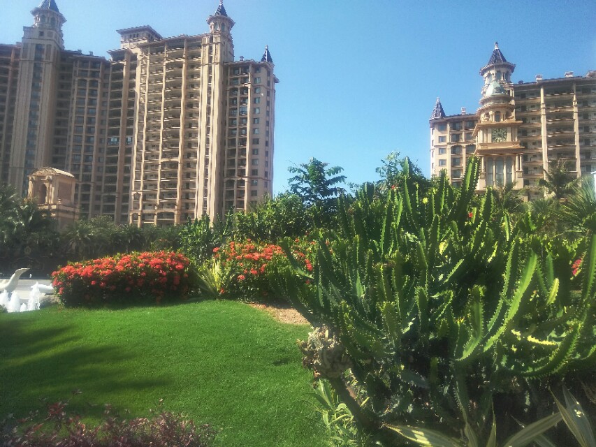 房地产开发项目融资的运营方式,房地产融资计划时间表