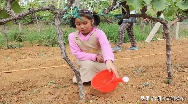 张裕卡斯特酒庄免费参观,烟台张裕卡斯特酒庄攻略