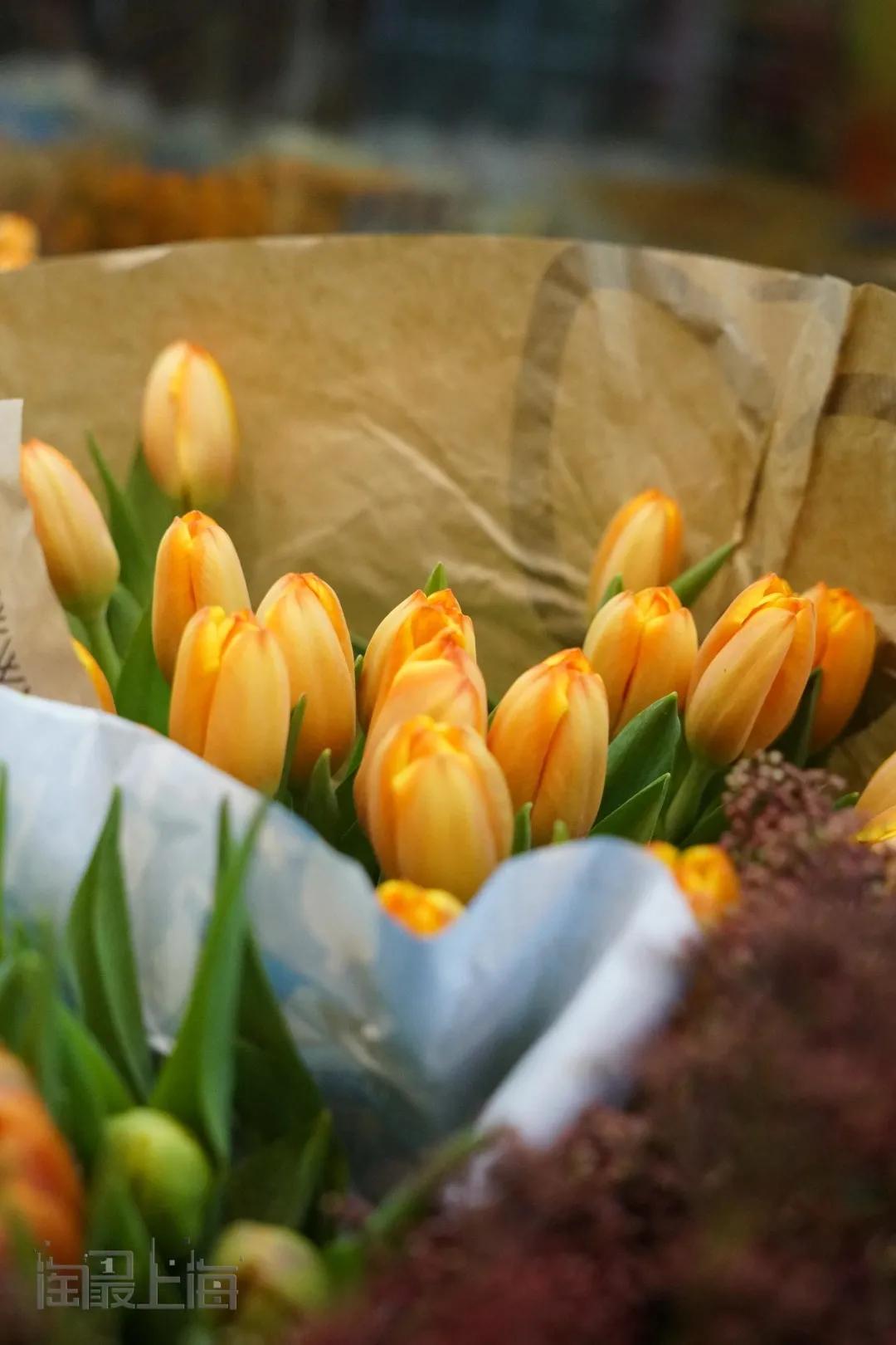 花卉市场晚上营业,今天的花卉市场