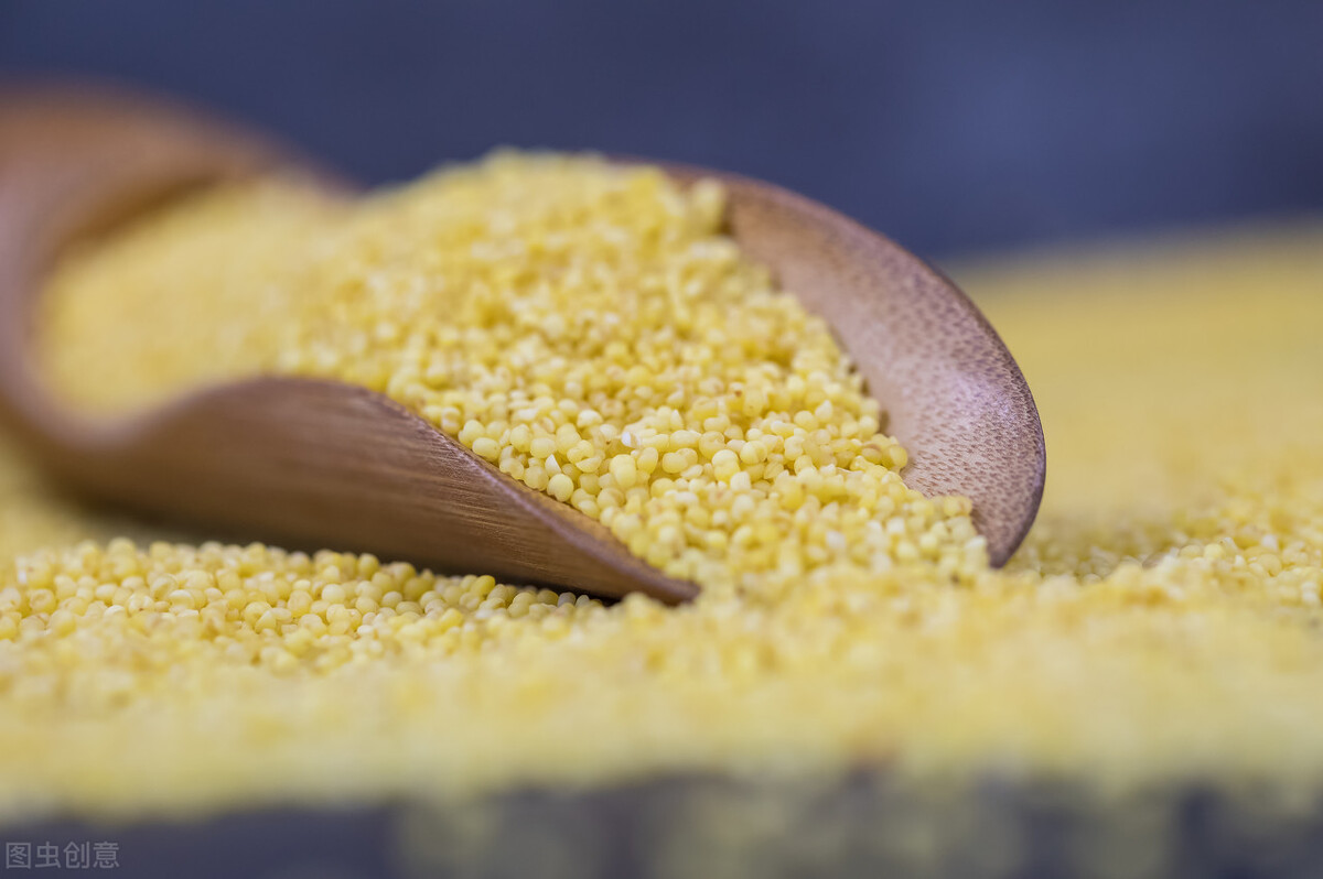 小米是颜色深的好还是浅的好 (小米是较黄的好还是较白的好)