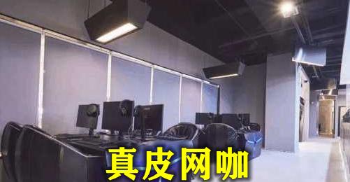 大司马的网咖怎么样了,大司马真皮网咖现状