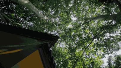 你，为什么会来南京？