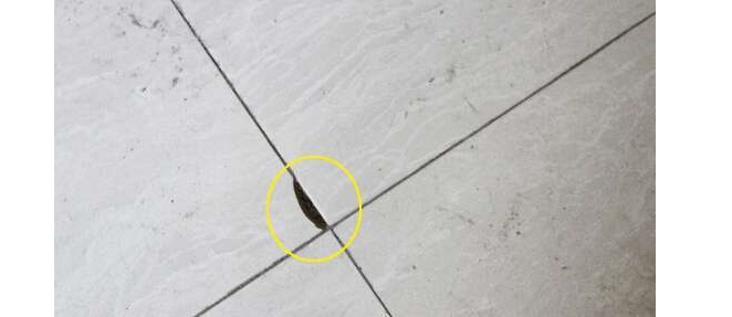 瓷砖缝隙大用什么方法能美缝,瓷砖缝隙除了美缝有没有其他办法