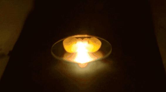 把葡萄放进微波炉爆炸实验,把两个葡萄放进微波炉