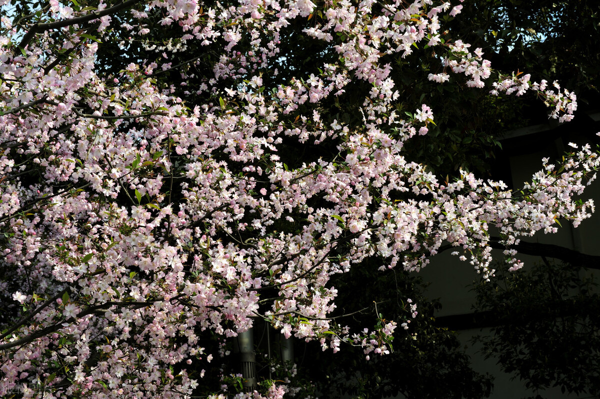 推荐的10个股票,推荐的十支股票