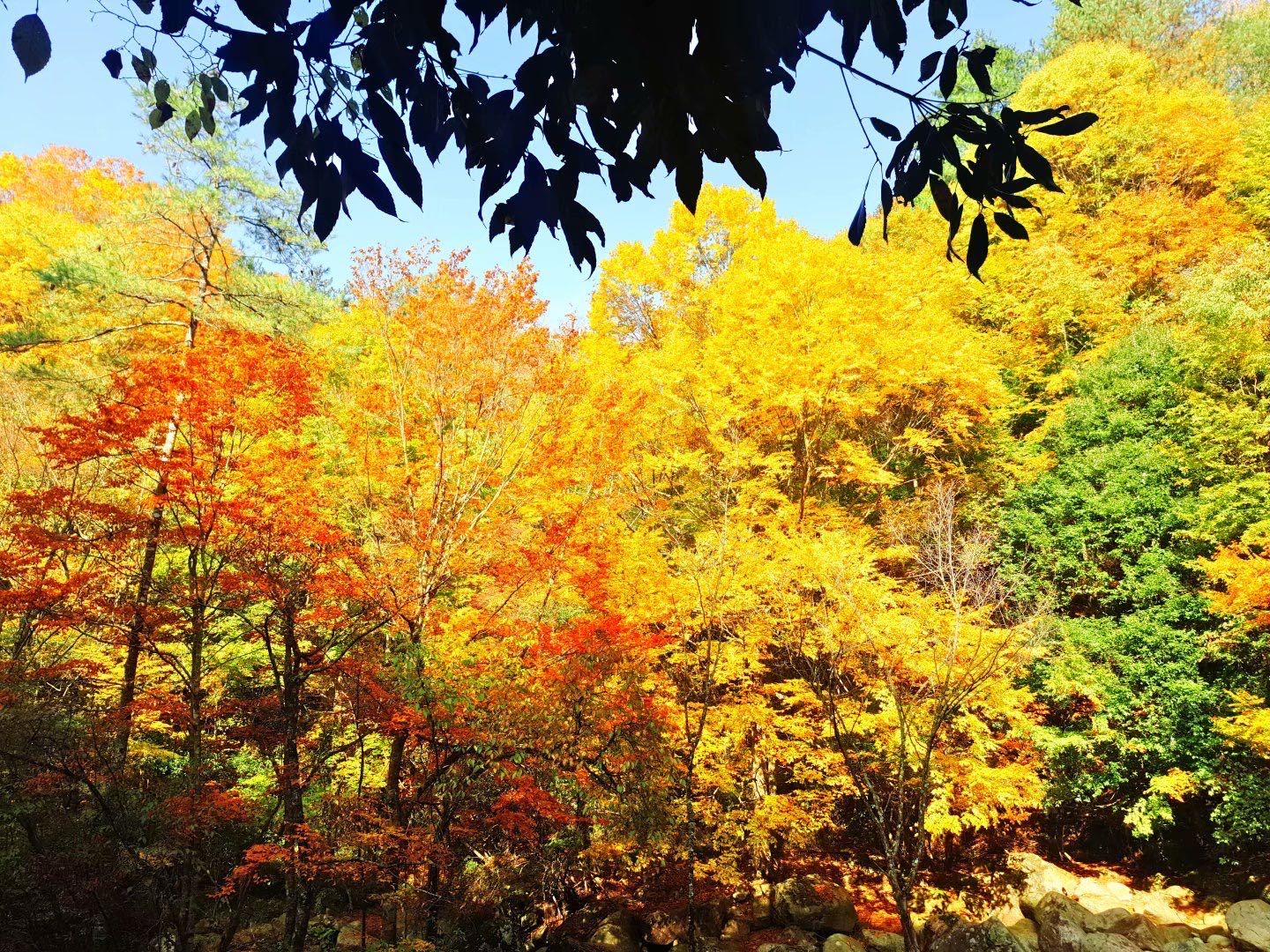 行摄山水视频大全,行摄美景