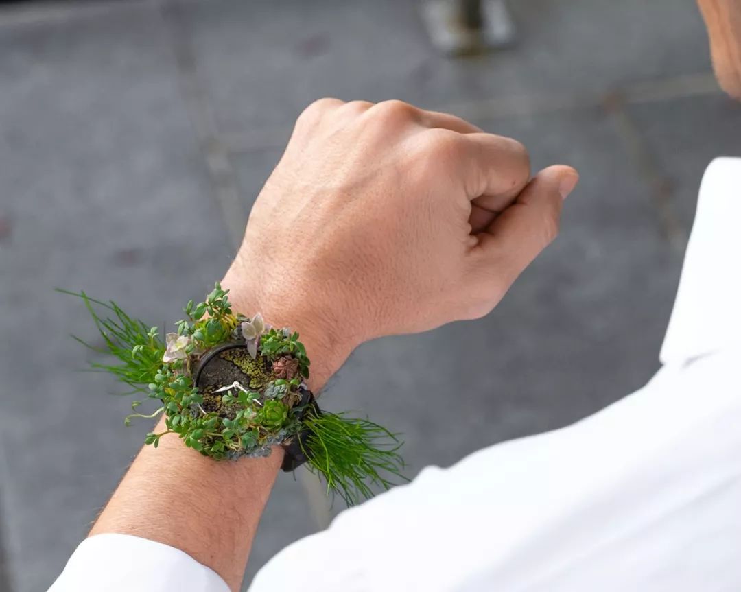 这枚独一无二的腕表，让你真正体会到时间的意义、生态的脆弱