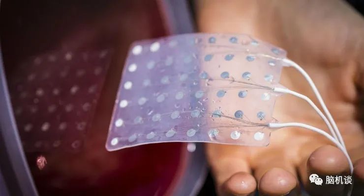 ​《脑机往事（3）—维达尔的秘密》