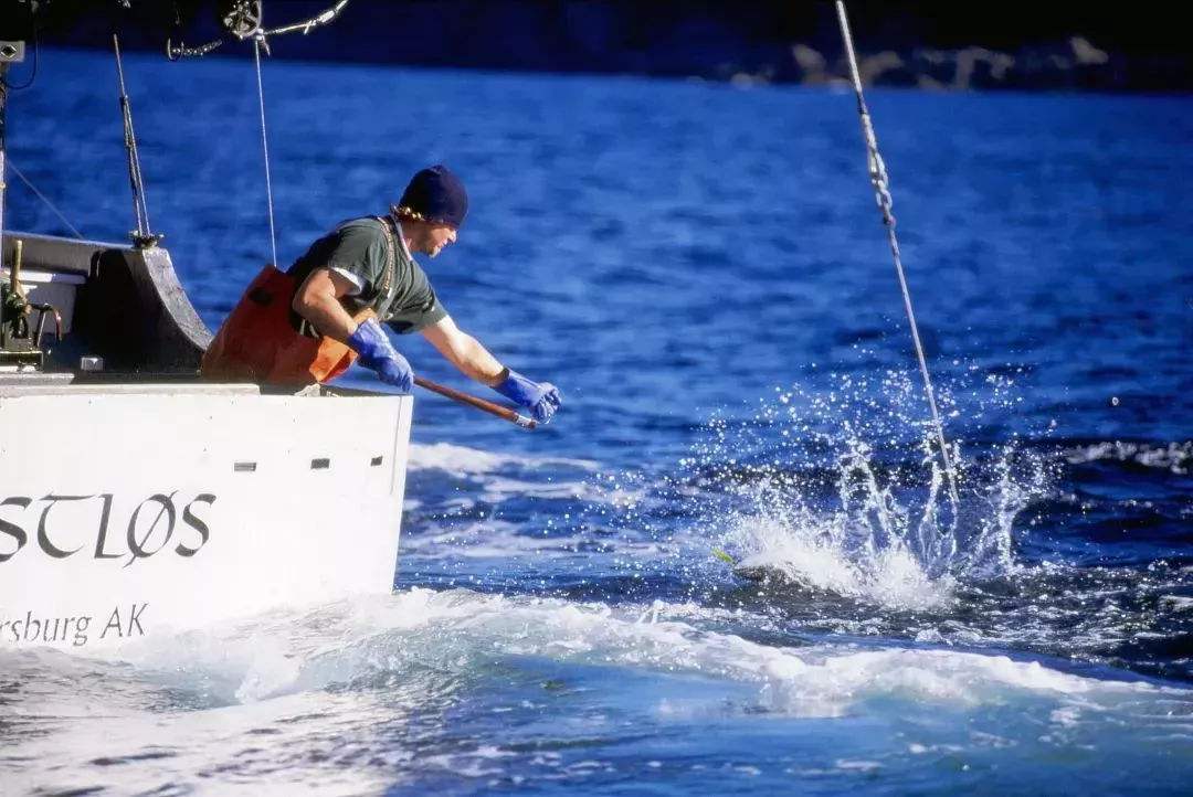 美国花1500万买土地,美国花费798万美元买的岛屿