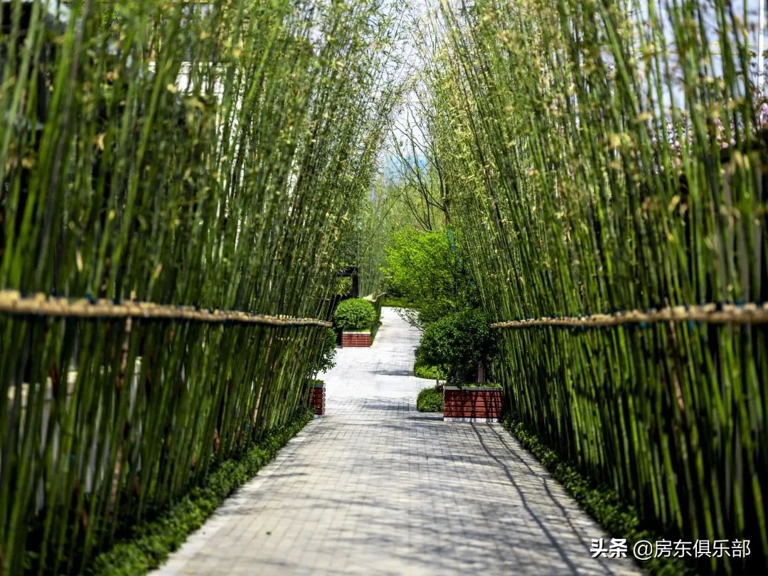 郑州第一批高层豪宅,郑州豪宅最新消息