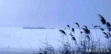 经典作文片段100字左右,经典作文素材集锦91-100则