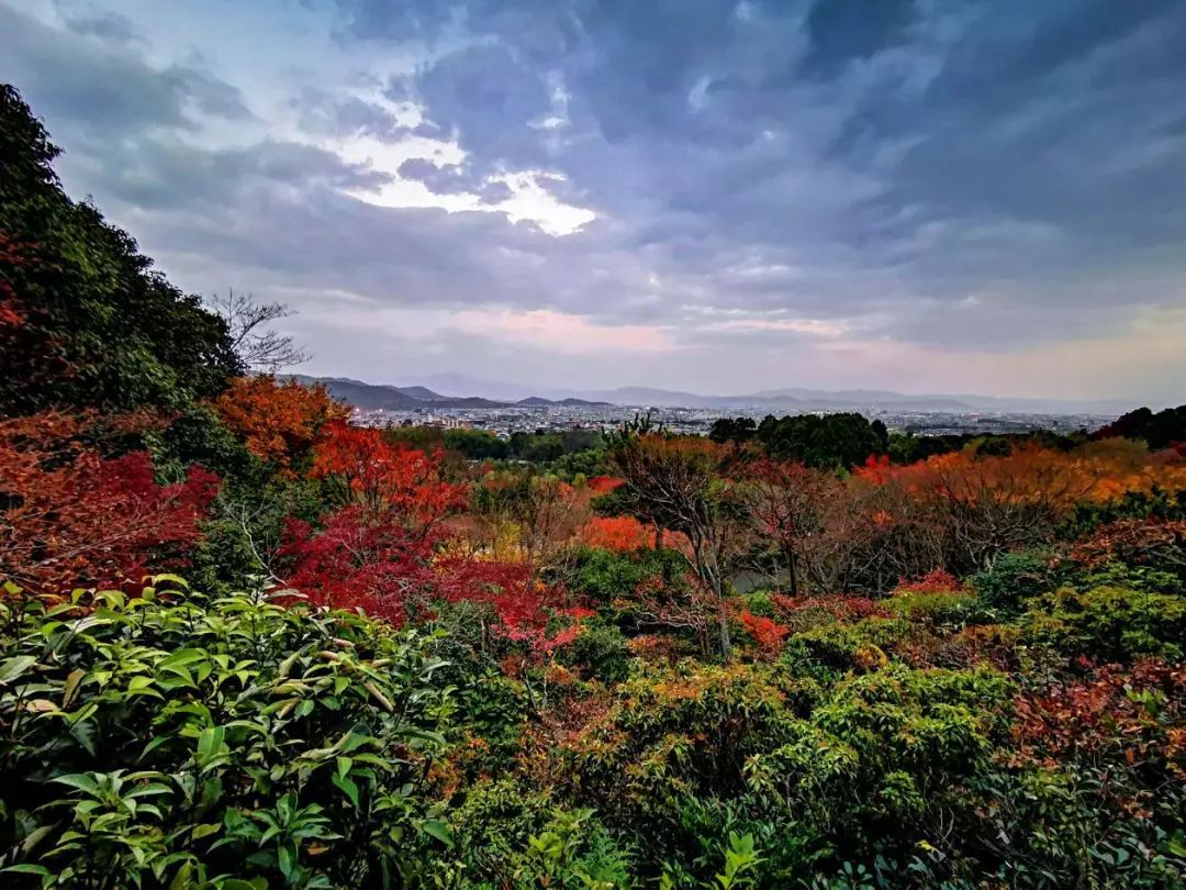 岚山哪有好玩的,日照岚山区值得去吗