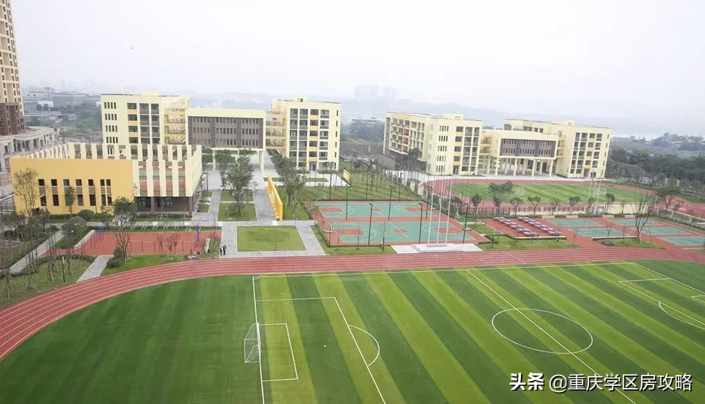 重庆中考七龙珠的升学率,重庆七龙珠中考2021