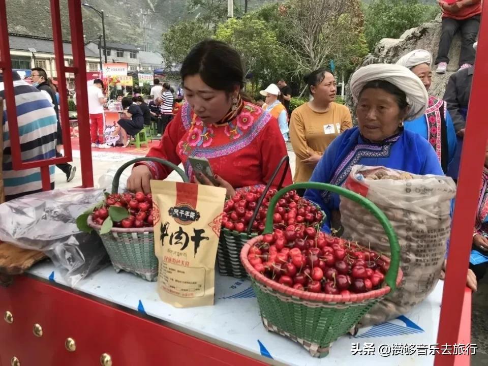 汶川三宝特色水果产业,汶川三宝果园