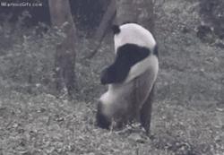 警惕！身上出现这种小水泡，千万别挠！现在看还不晚