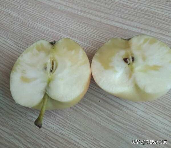 冰糖心苹果有危害吗,苹果冰糖心是怎么回事