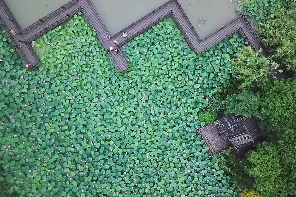 带你走进沙家浜景区,带你走进沙家浜风景区