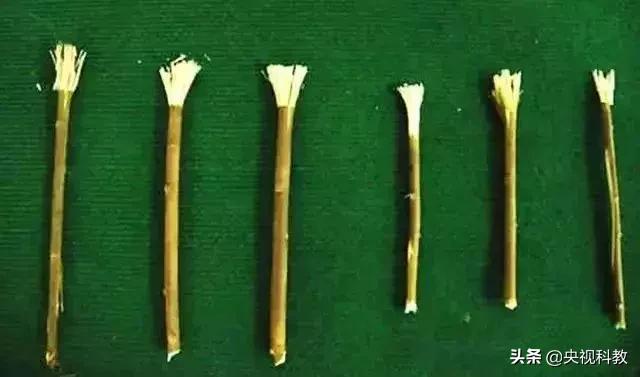 中医养生固齿良方,民间固齿的妙方